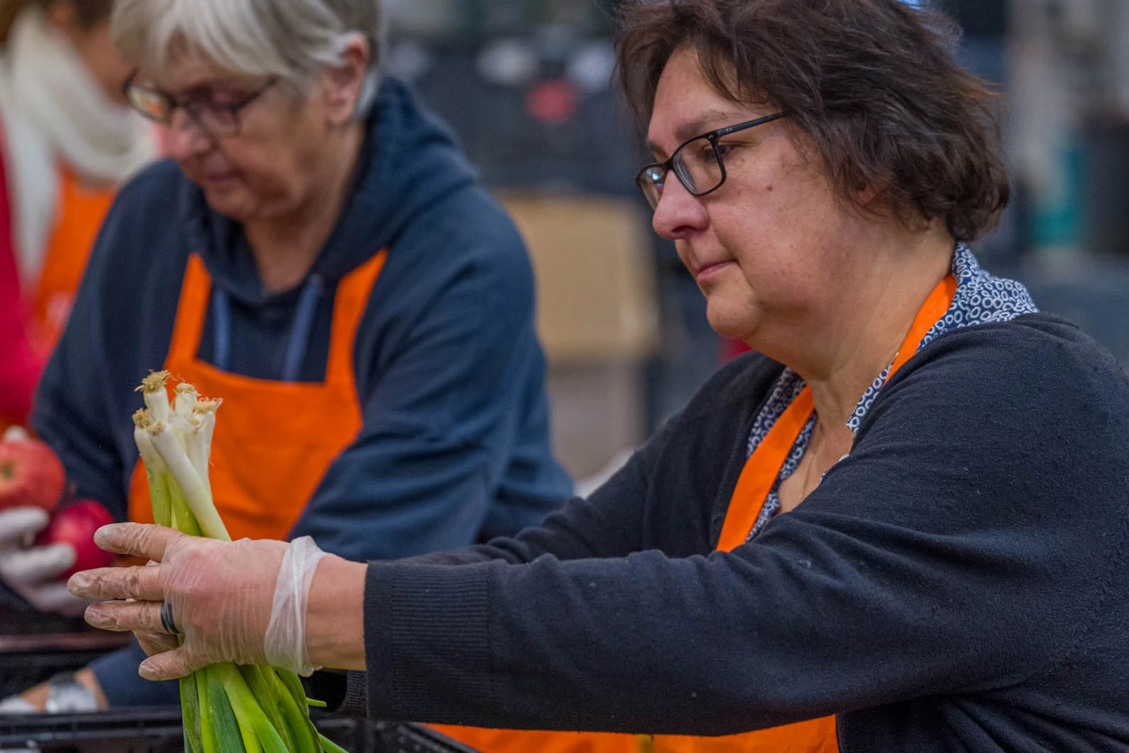 corporate Volunteering in Berlin